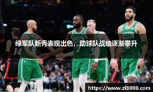 3377体育官网登录