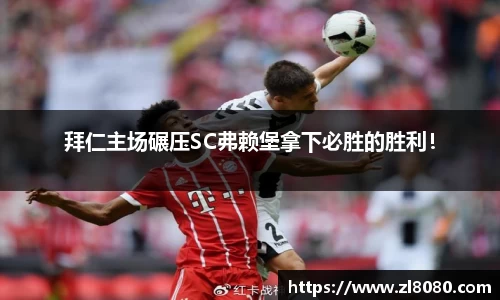 3377体育官网登录
