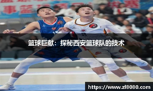 3377体育官网入口