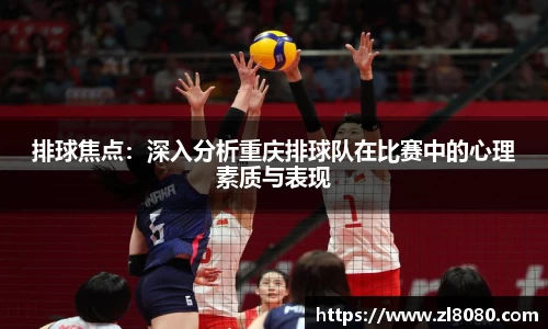 3377体育官网入口
