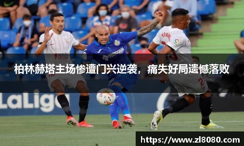 3377体育官网入口