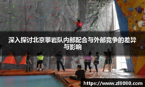3377体育官网入口