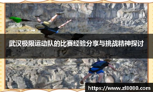 3377体育官网入口