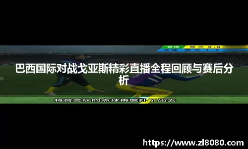 3377体育官网入口